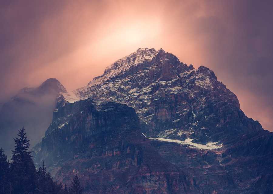 First Conference: Part 2